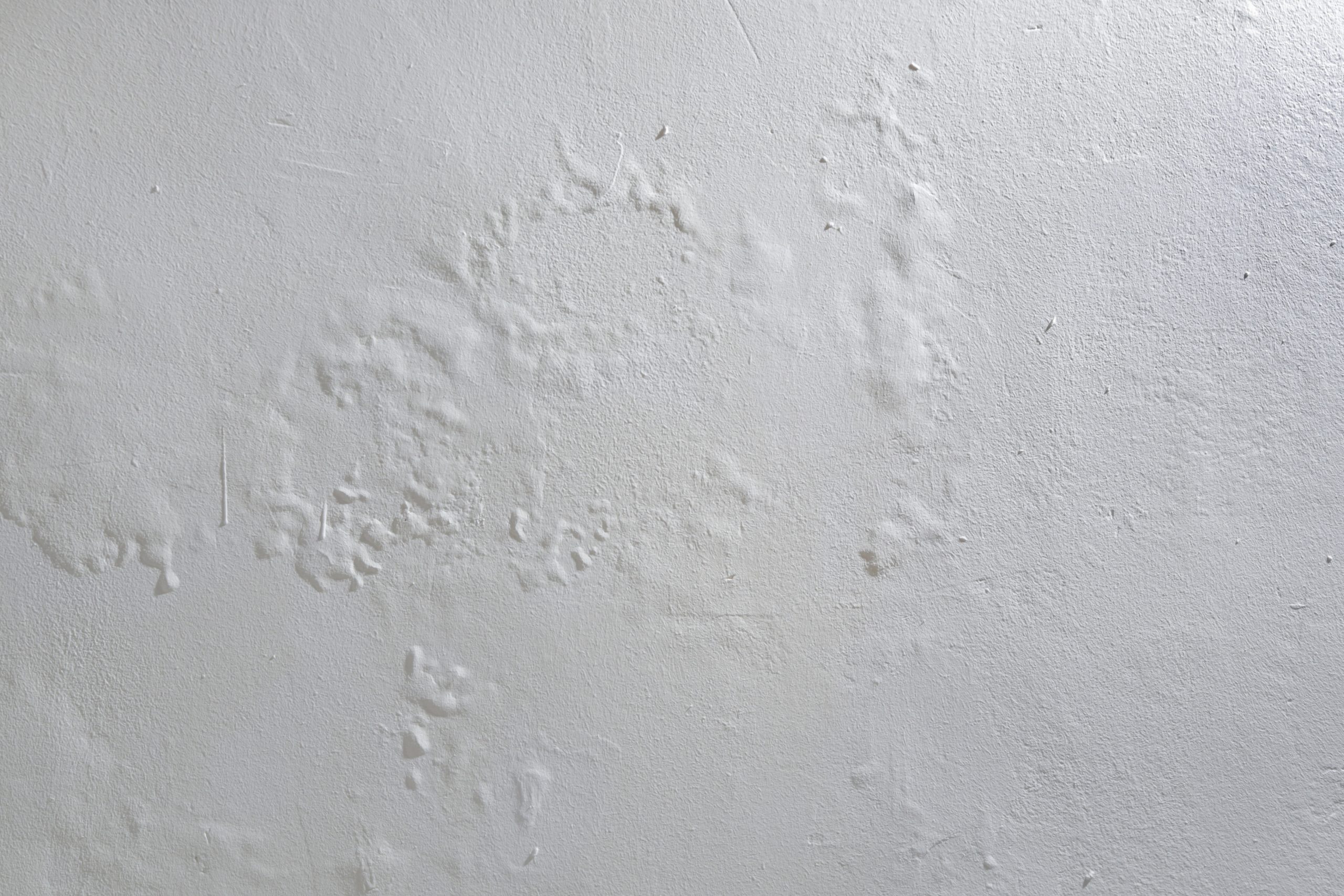 Interior wall with bubbling and peeling paint caused by moisture, indicating possible hidden water leak damage